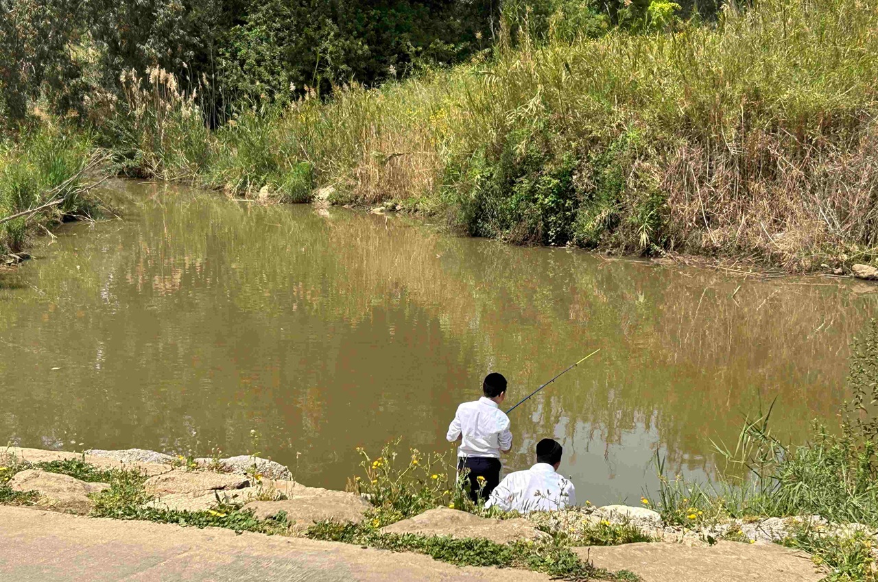 אנו בקטע של נחל ירקון שסמוך לנביעה שלו בראש העין. שיפוע אפסי במורד דרכו ההיסטורית של הנחל, מערבה אל הים, מאלץ אותו להתפתל ולהתחתר כאן ב'פיתולי אומגה' נואשים