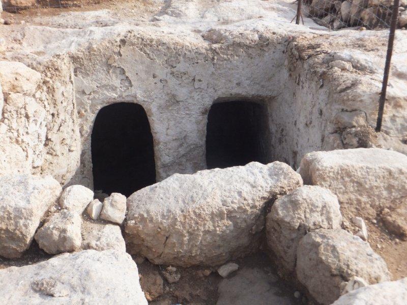 פארק איילון- קנדה חושף בימים אלה את יופיו. הפריחה משגעת, ובמרכז נמצא תל עתיק עם שרידים יהודים מתקופת בר כוכבא