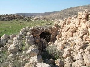 dubi zakai-2