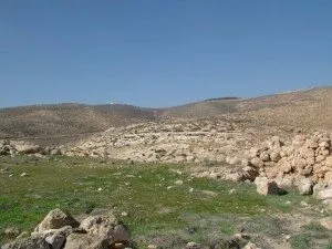 dubi zakai-3