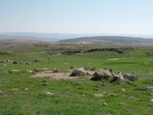 dubi zakai-4