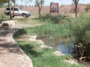 dubi zakai 2 (10)