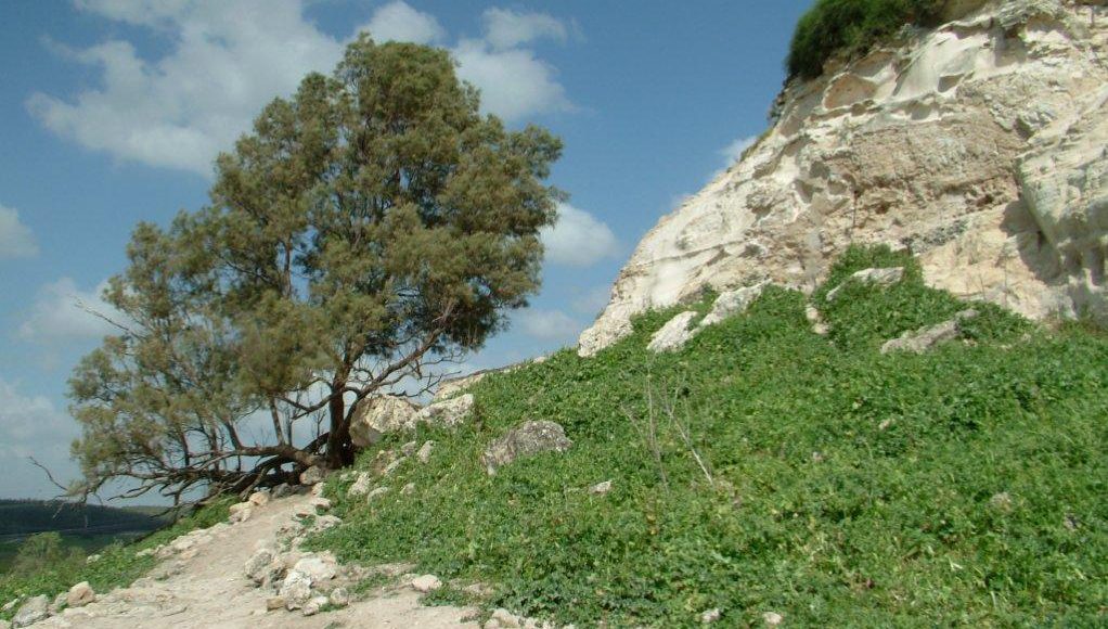 טיול לסופש אל תל צפית