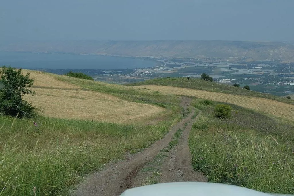 dubi zakai 1