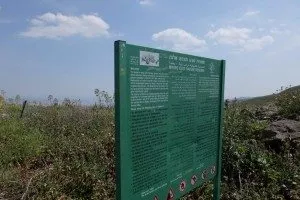 dubi zakai 2