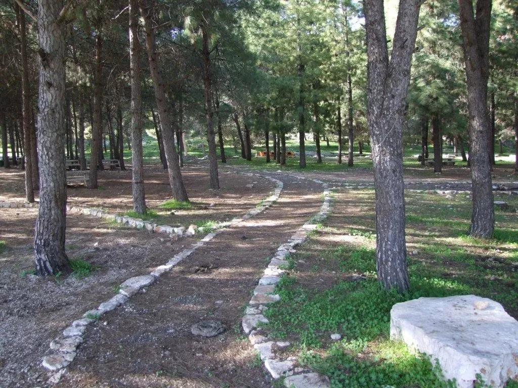 dubi zakai 5 (3)
