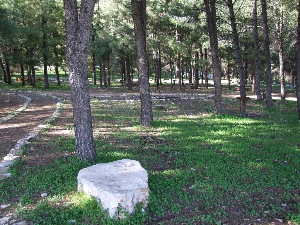 dubi zakai 9