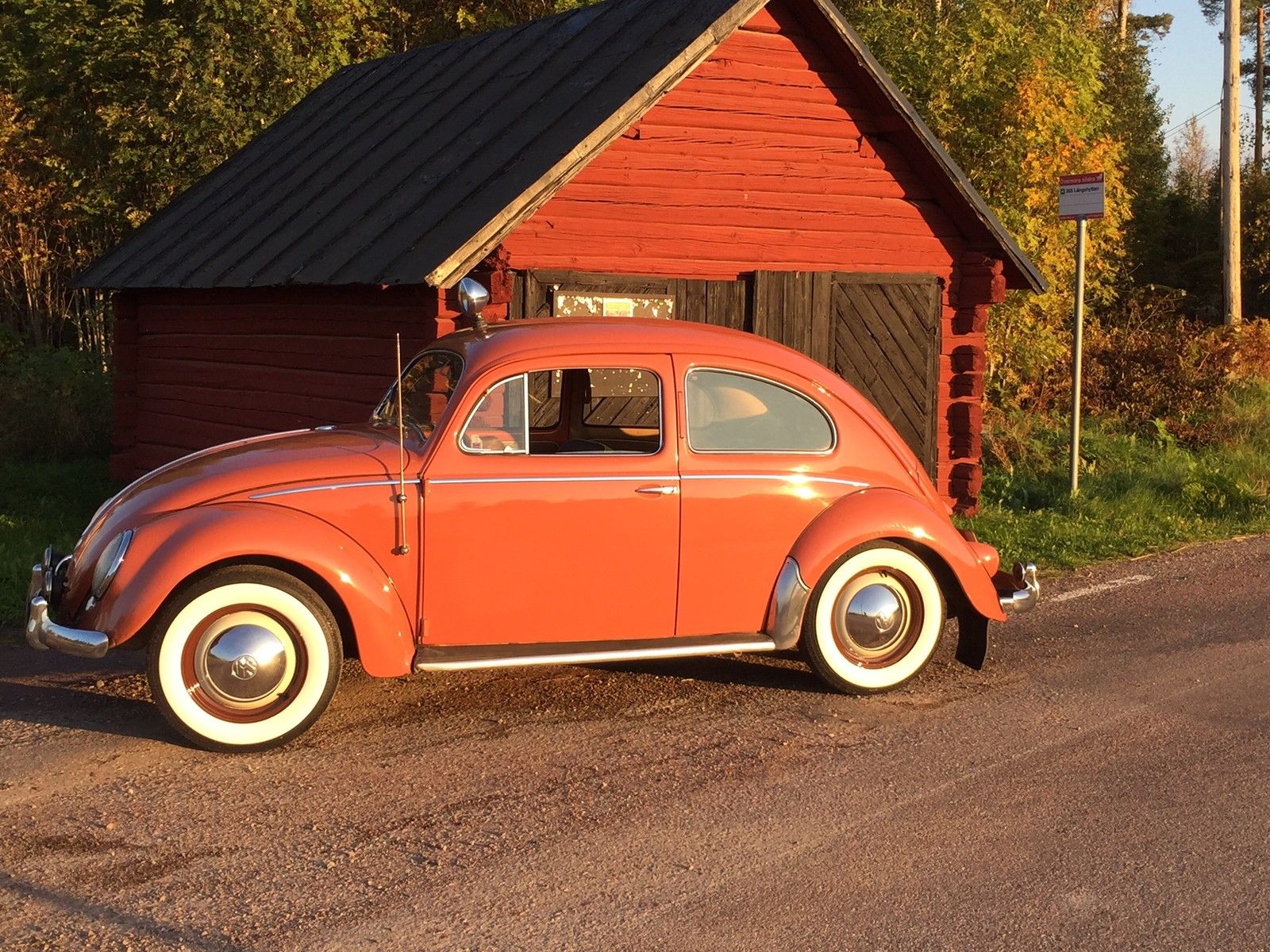 VW Beetle 1956
