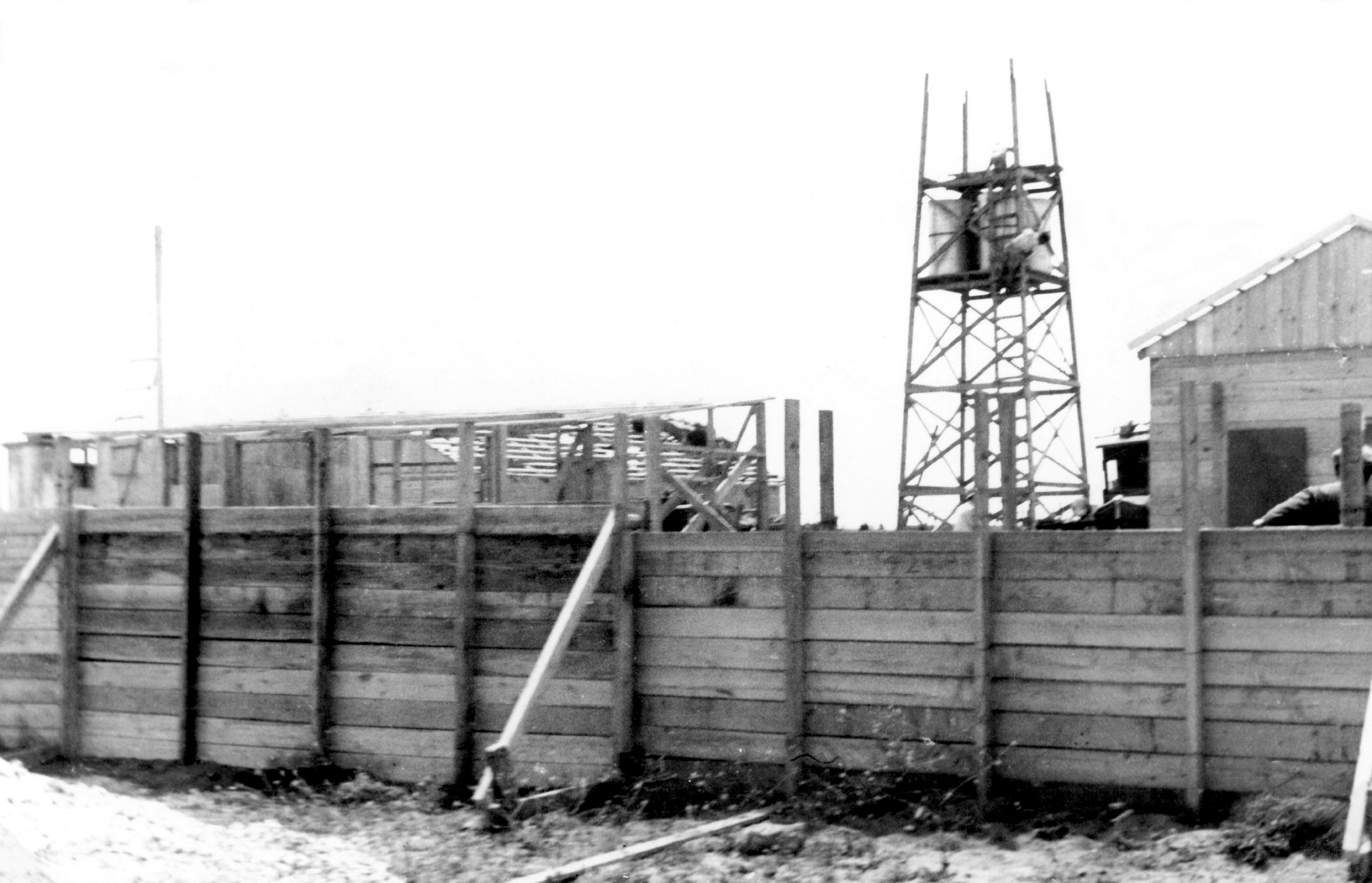 הקמת שבי ציון באפריל 1938
