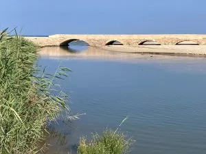 אל הגשר המחודש שעל הנחל הכחול