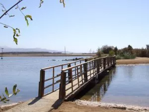 טיול לסופש: אל פארק הצפרות באילת