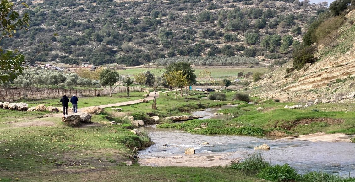 אל מסלול המשפחות המחודש בנחל ציפורי