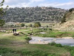 אל מסלול המשפחות המחודש בנחל ציפורי