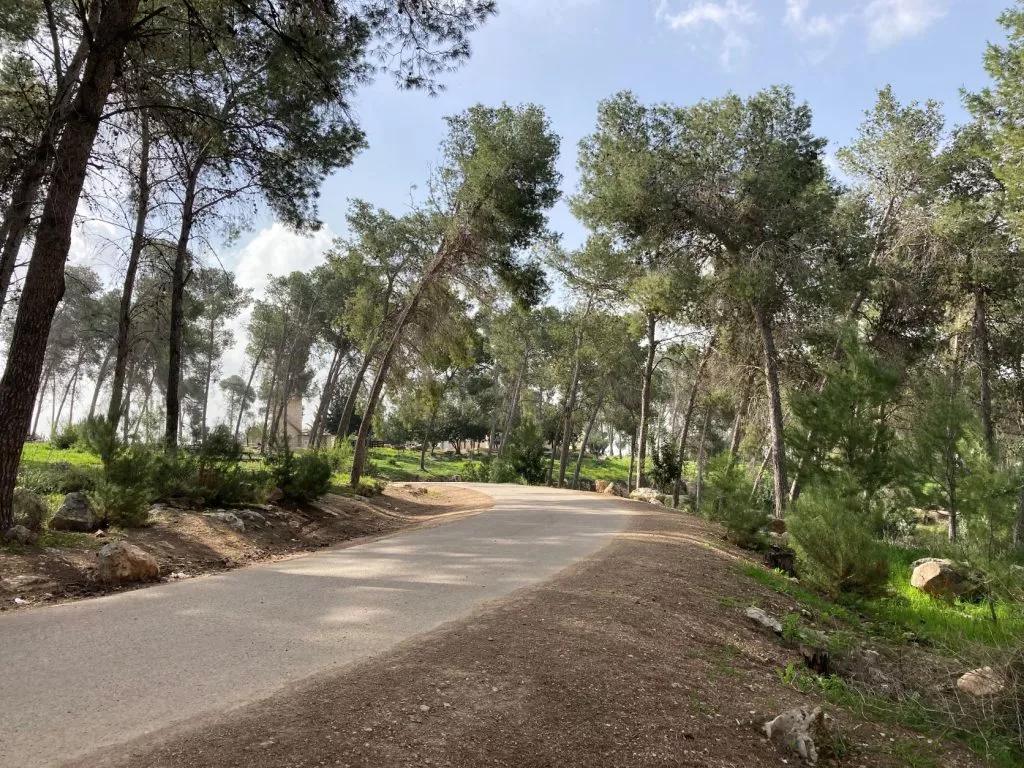 טיול לסופש אל הרקפות של יער המלאכים