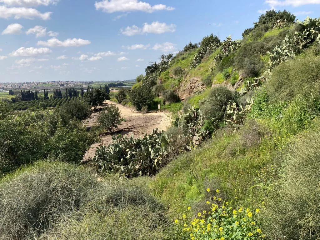 טיול לסופש אל הגן הלאומי גבעות מרר