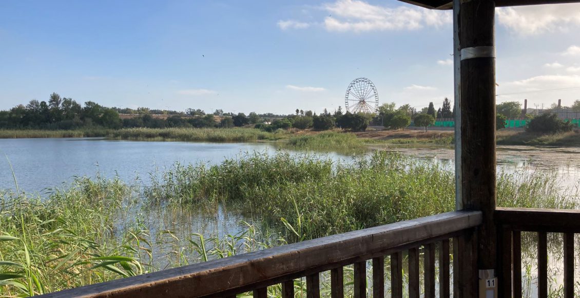 טיול לסופש אגם קטן בדרום גוש דן