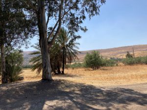 טיול לסופ"ש: אל צפון נהר בקעת הירדן