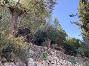 טיול לסופ"ש: אל מנזר יוחנן במדבר