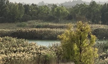 טיול לסופש אל עינות גיבתון