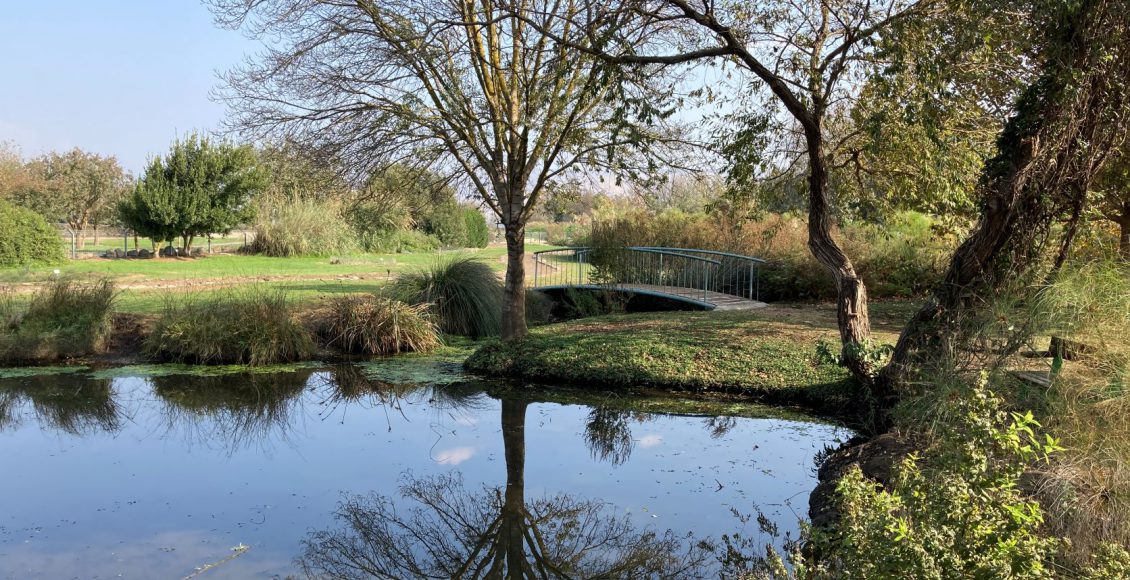 טיול לסופ"ש: אל אגמון החולה המחודש