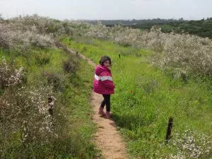 טיול לסופ"ש: 46 אתרים מומלצים לפריחה הקצרצרה בכל רחבי הארץ