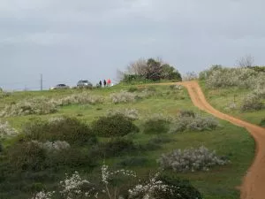 טיול לסופ"ש: 46 אתרים מומלצים לפריחה הקצרצרה בכל רחבי הארץ