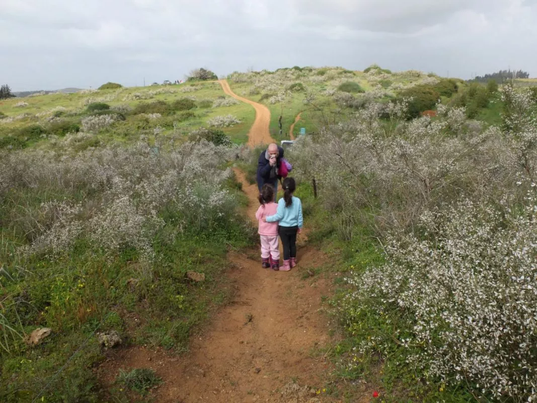 טיול לסופ"ש: 46 אתרים מומלצים לפריחה הקצרצרה בכל רחבי הארץ