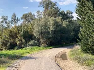 טיול לסופ"ש: אל הדרום הירוק