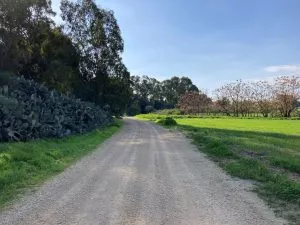 טיול לסופ"ש: אל הדרום הירוק
