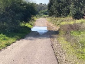 טיול לסופ"ש: אל הדרום הירוק
