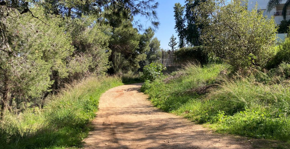טיול לסופ"ש" אל היער הקהילתי בראש העין