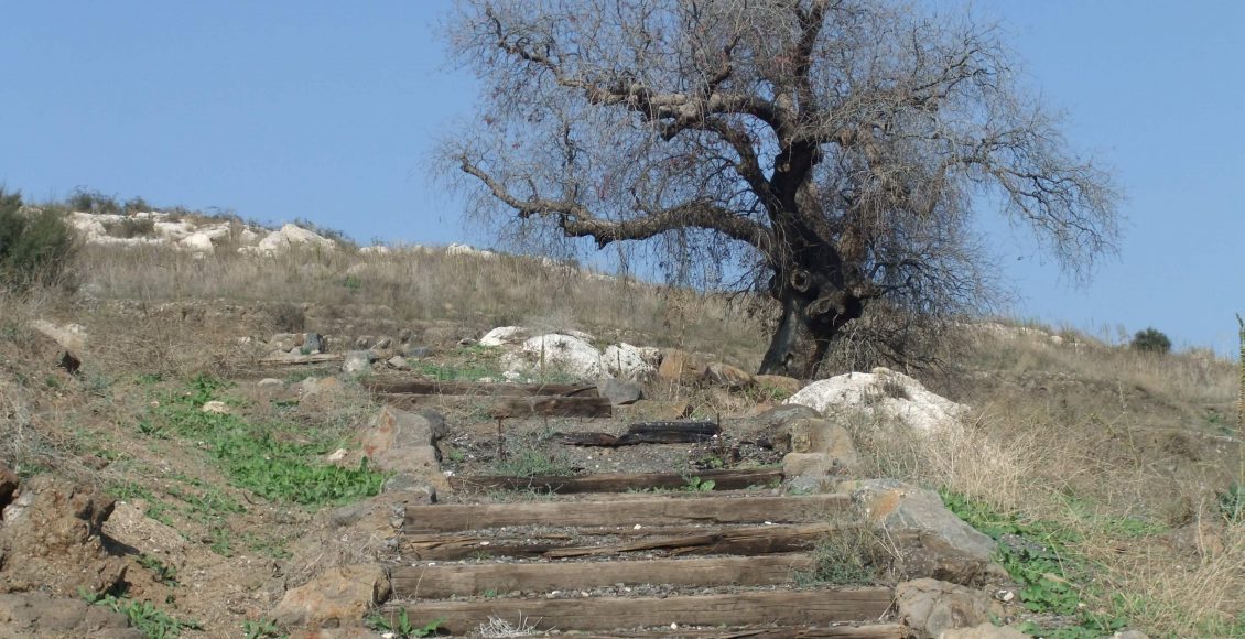 טיול לסופ"ש: אל המקומות הרומנטיים ביותר בישראל