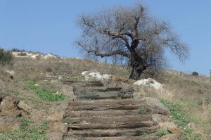 טיול לסופ"ש: אל המקומות הרומנטיים ביותר בישראל