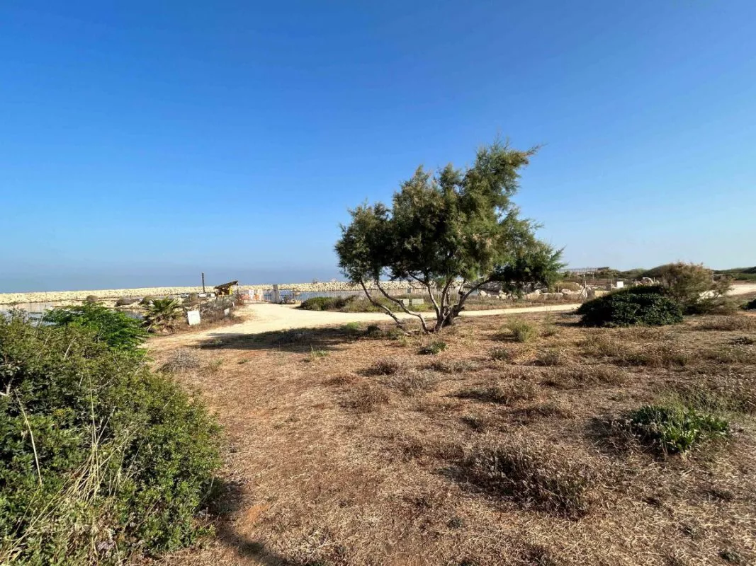 טיול לסופ"ש: אל המגדלור העברי הראשון