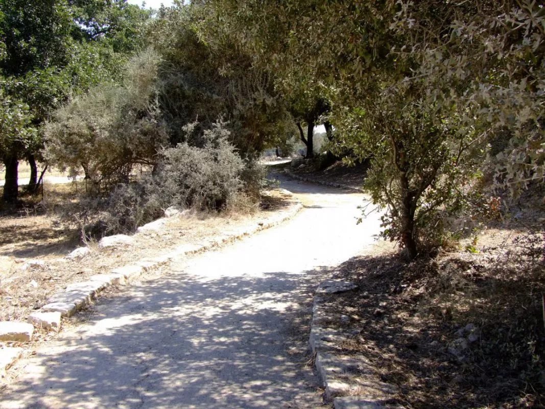 טיול לחג: קרוב לבית