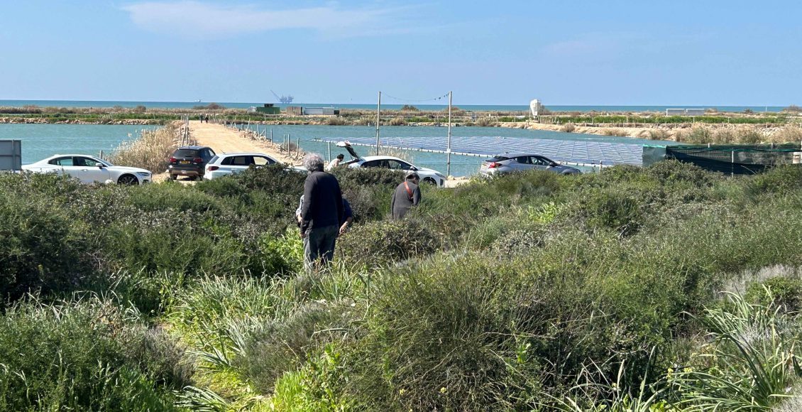 טיול לסופ"ש: אל מעגן מיכאל ושמורת נחל דליה