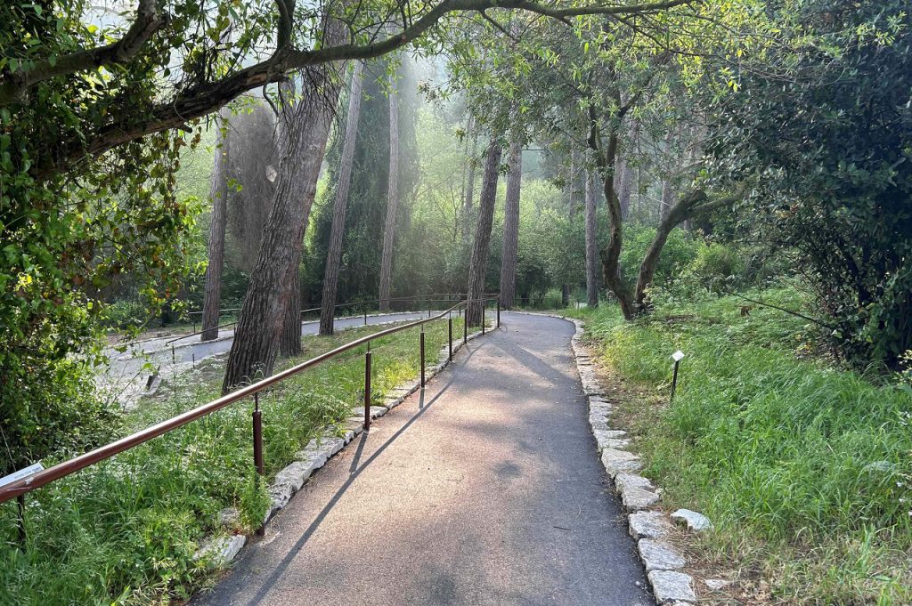 טיול לסופ"ש: אל אתרים מונגשים לעגלות ולפעוטות – צפון