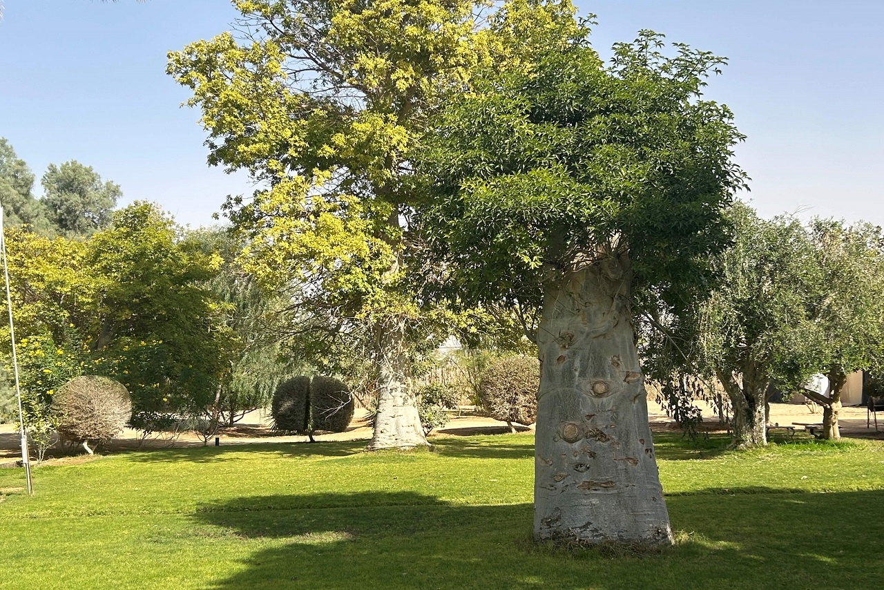 טיול לסופ"ש: אל דרום הערבה