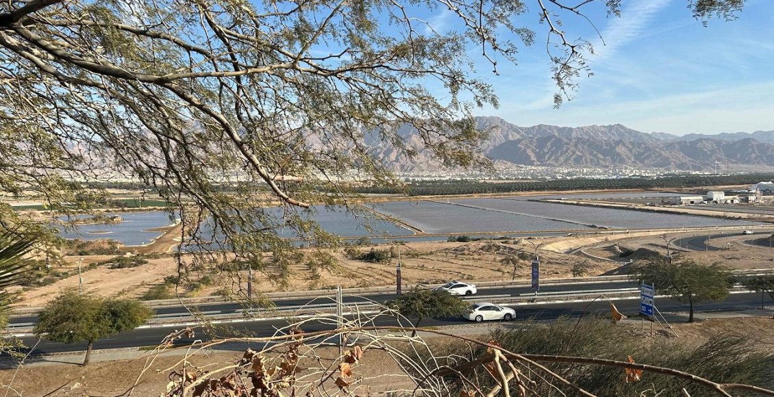 טיול לסופ"ש: אל היער הטרופי של אילת