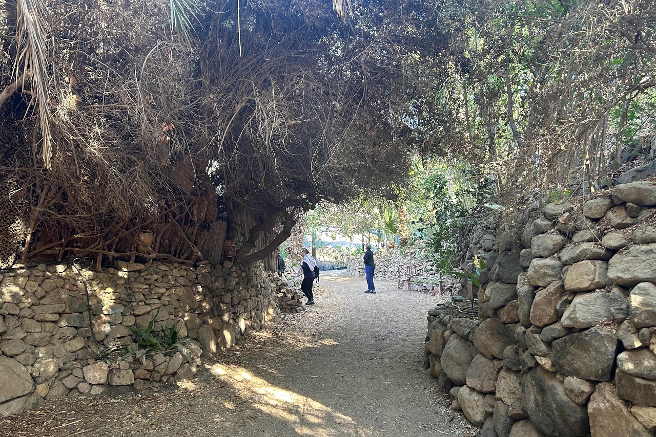 טיול לסופ"ש: אל היער הטרופי של אילת