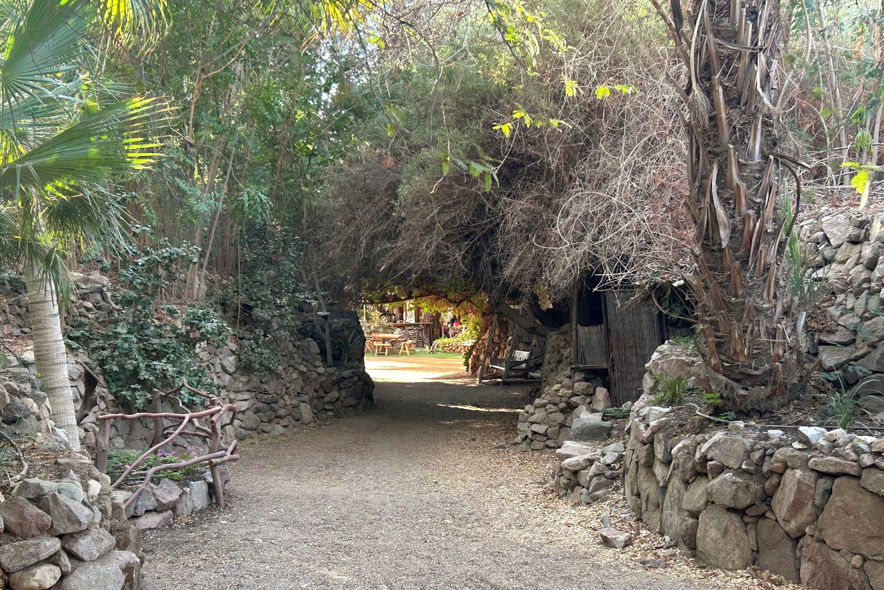 טיול לסופ"ש: אל היער הטרופי של אילת