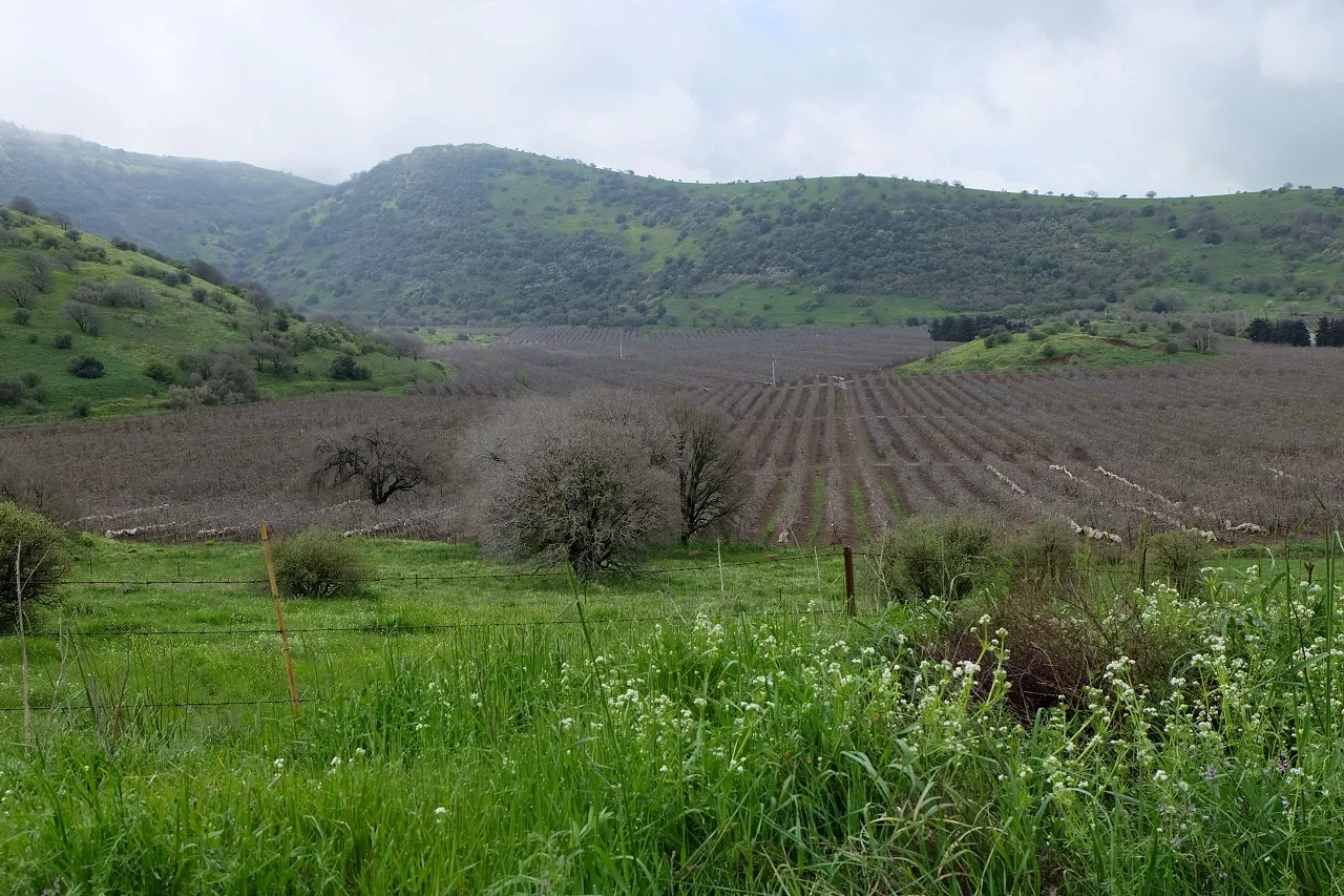 טיול לסופ"ש: אל הר בנטל