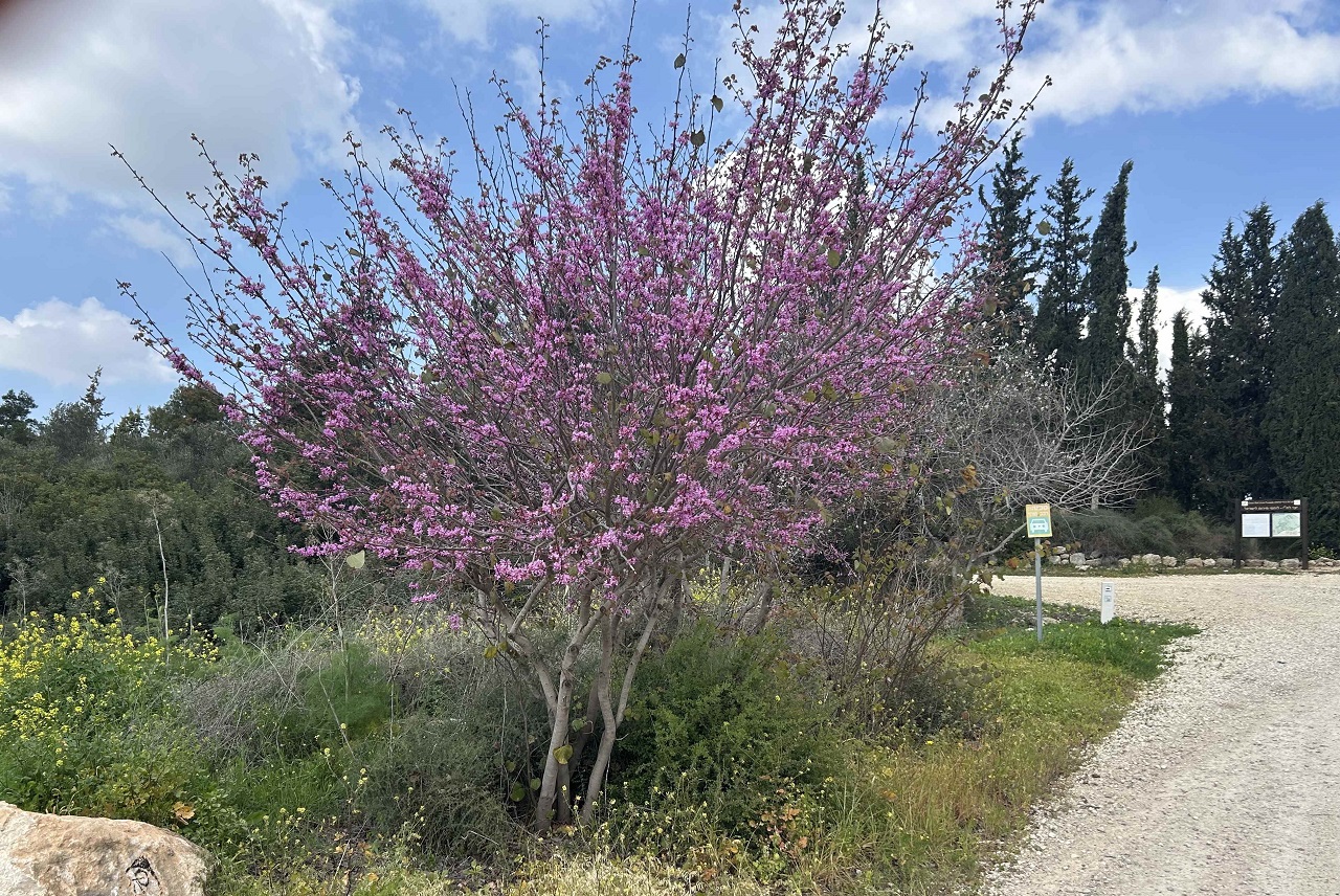 טיול לסופ"ש: אל נחל גזר