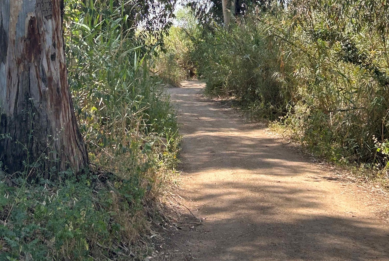 טיול לסופ"ש: אל בית לאה