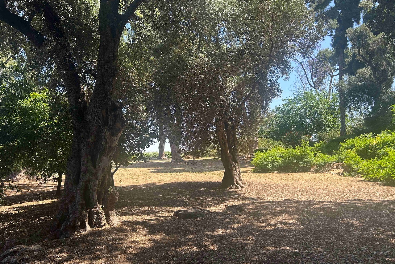 טיול לסופ"ש: אל הסודות הכמוסים של הגן הקסום 