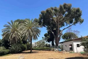 טיול לסופ"ש: אל הסודות הכמוסים של הגן הקסום