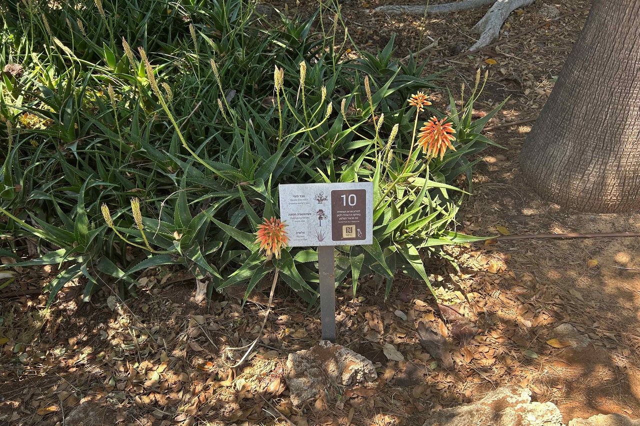 טיול לסופ"ש: אל הסודות הכמוסים של הגן הקסום 