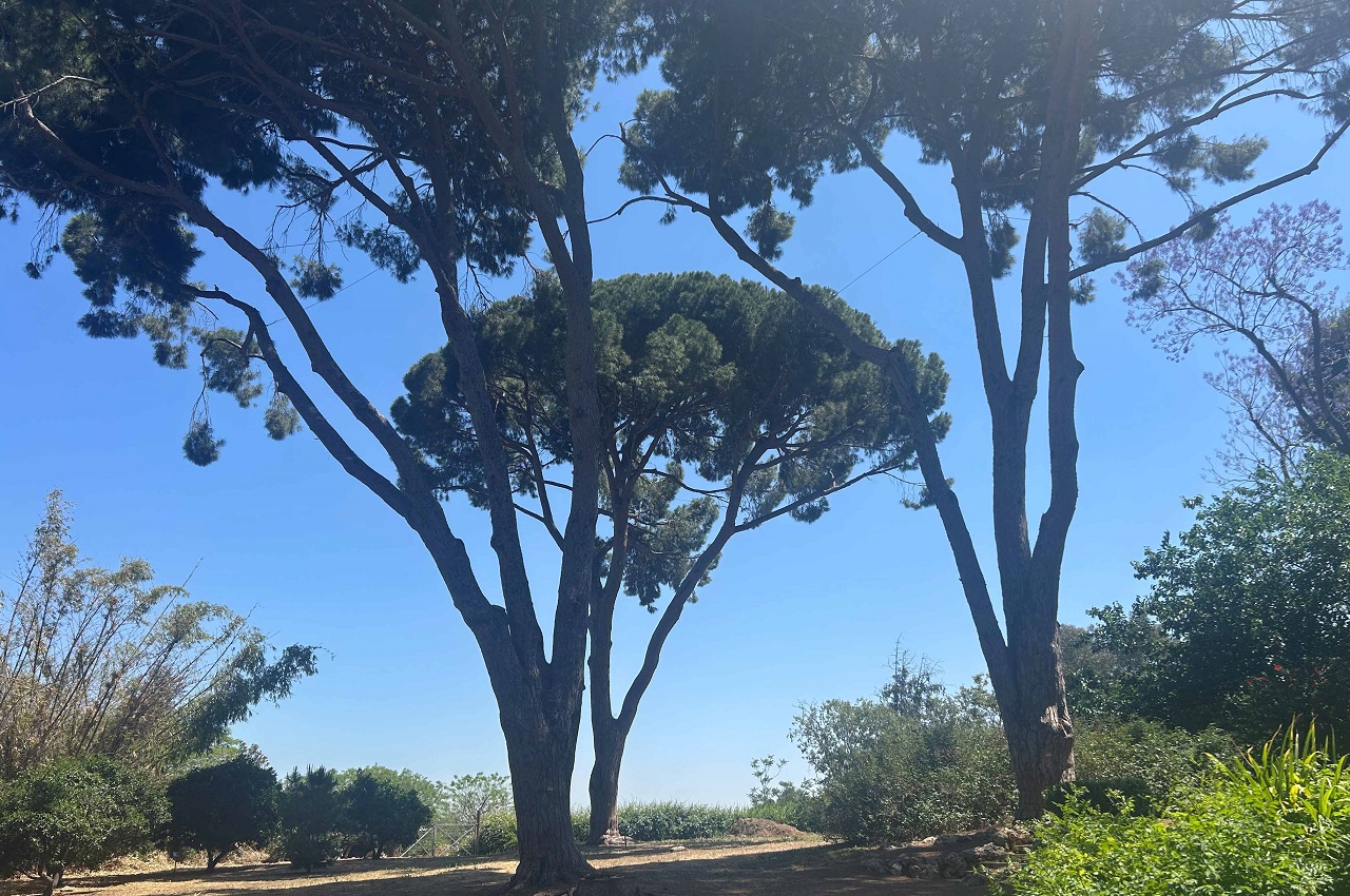 טיול לסופ"ש: אל הסודות הכמוסים של הגן הקסום 