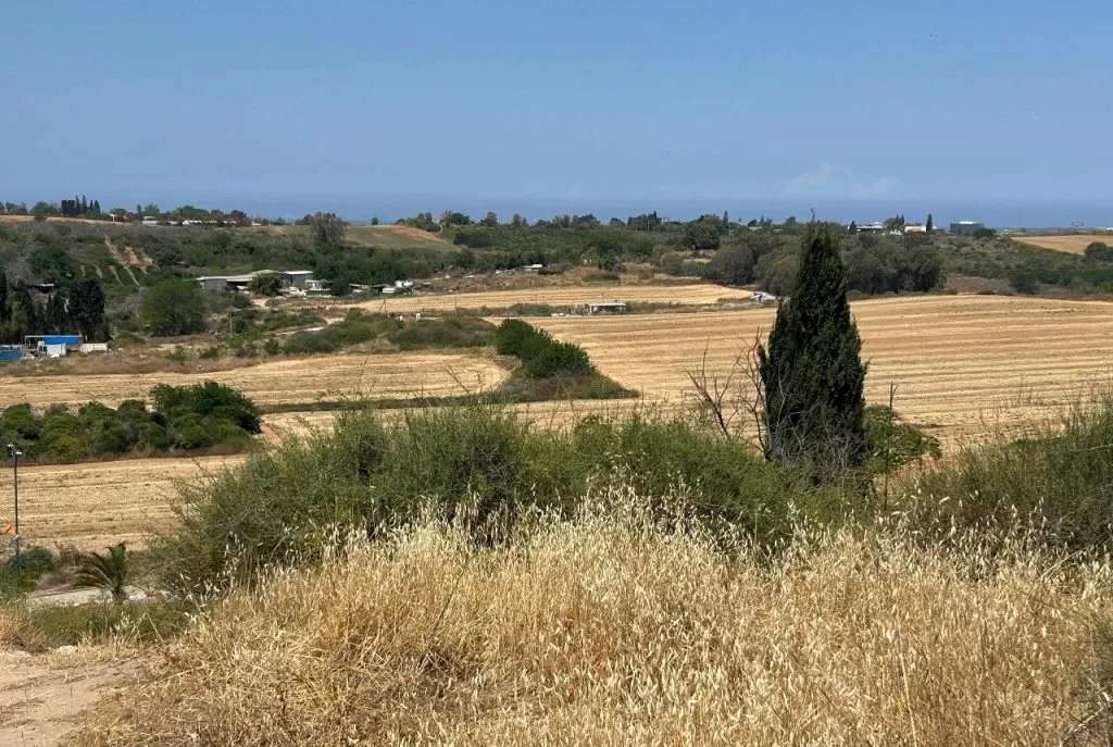 טיול לסופ"ש: אל גבעת התור