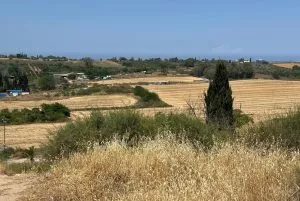 טיול לסופ"ש: אל גבעת התור